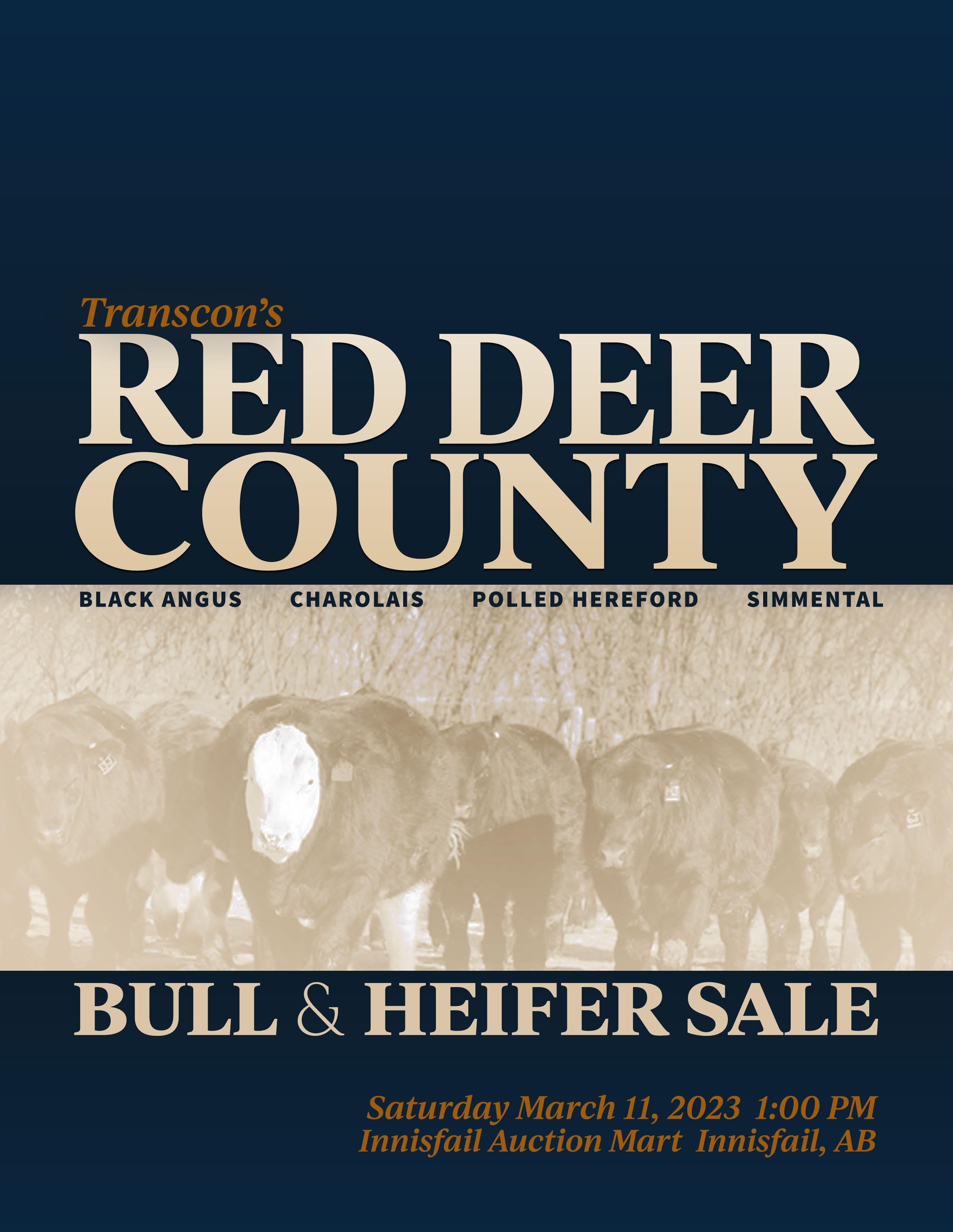 Transcon's Red Deer County Bull & Heifer Sale 2023 by Keltey