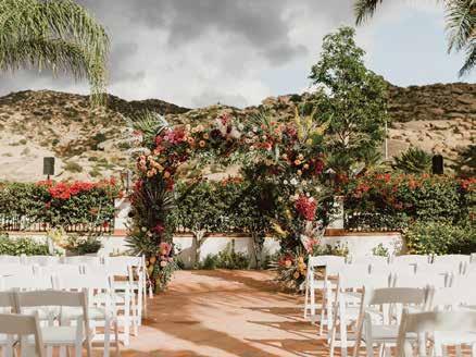 Cover for LA VIDA HERMOSA