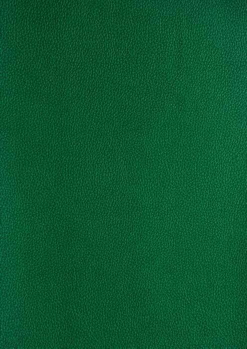 Cover for Back List Summer Reads for long evenings