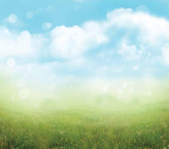 Cover for FOR ALL EMERGENCIES DIAL 111