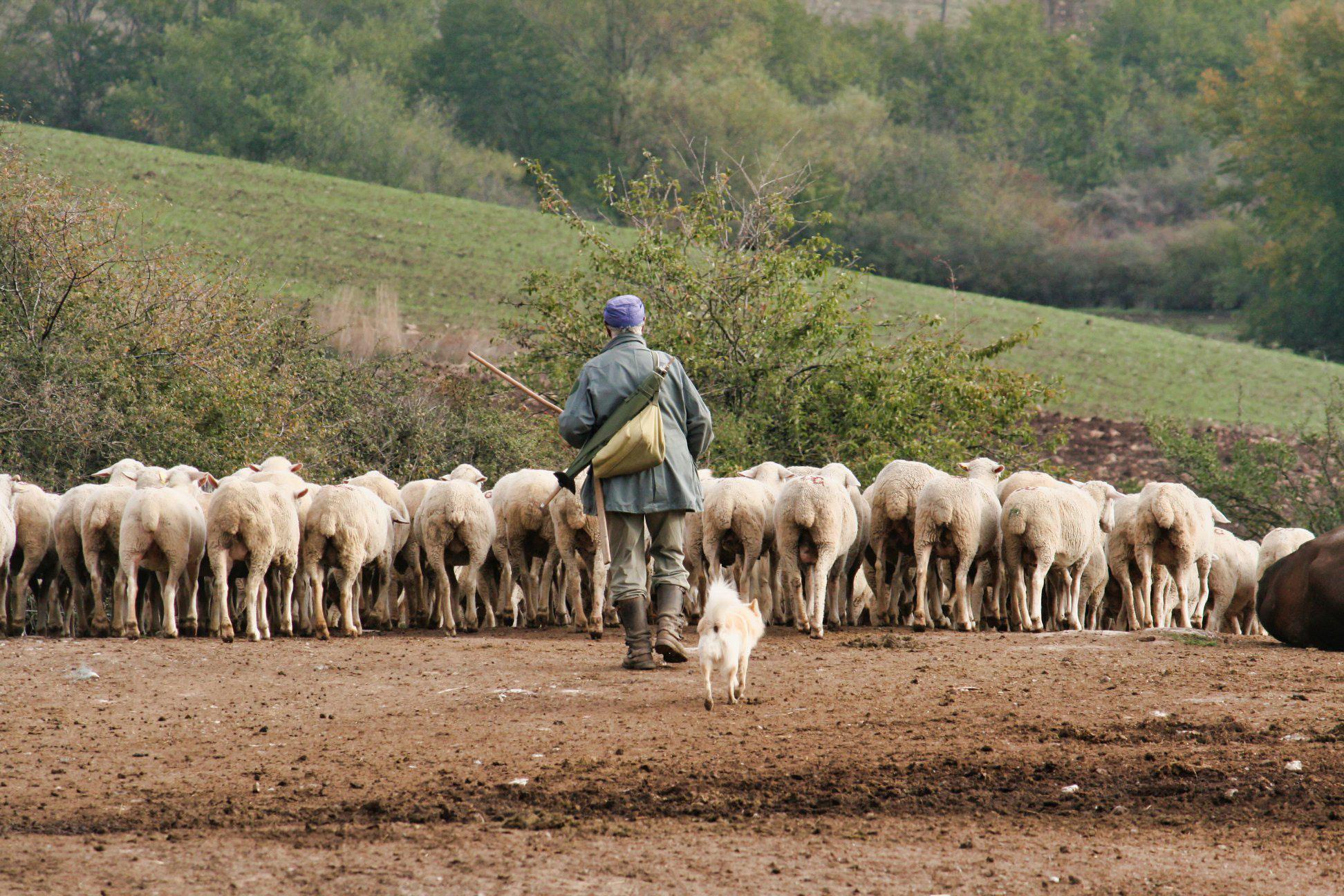 4.6 Bosnia - Herzegovina Bosnia and Herzegovina - Issuu