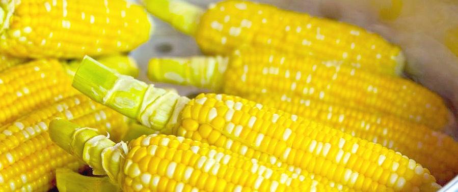 Nayarit Opina 10022023 by Vallarta Opina Oficial - Issuu