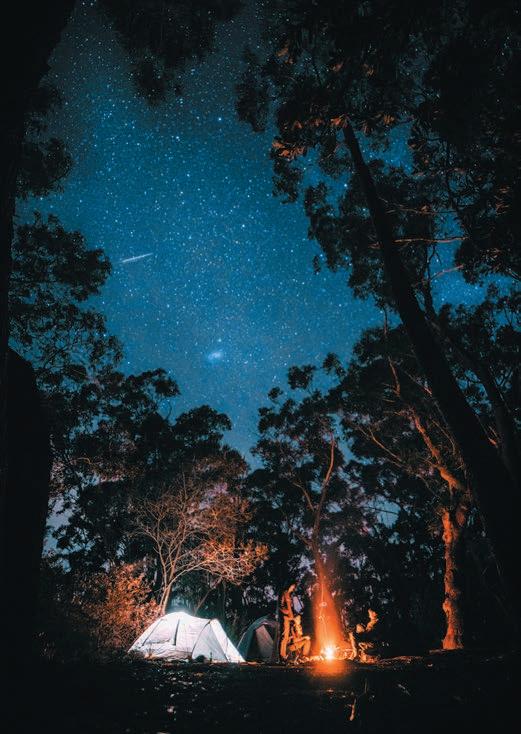 Cover for Section 4. DATA DESCRIPTION AND SURVEY METHODOLOGY