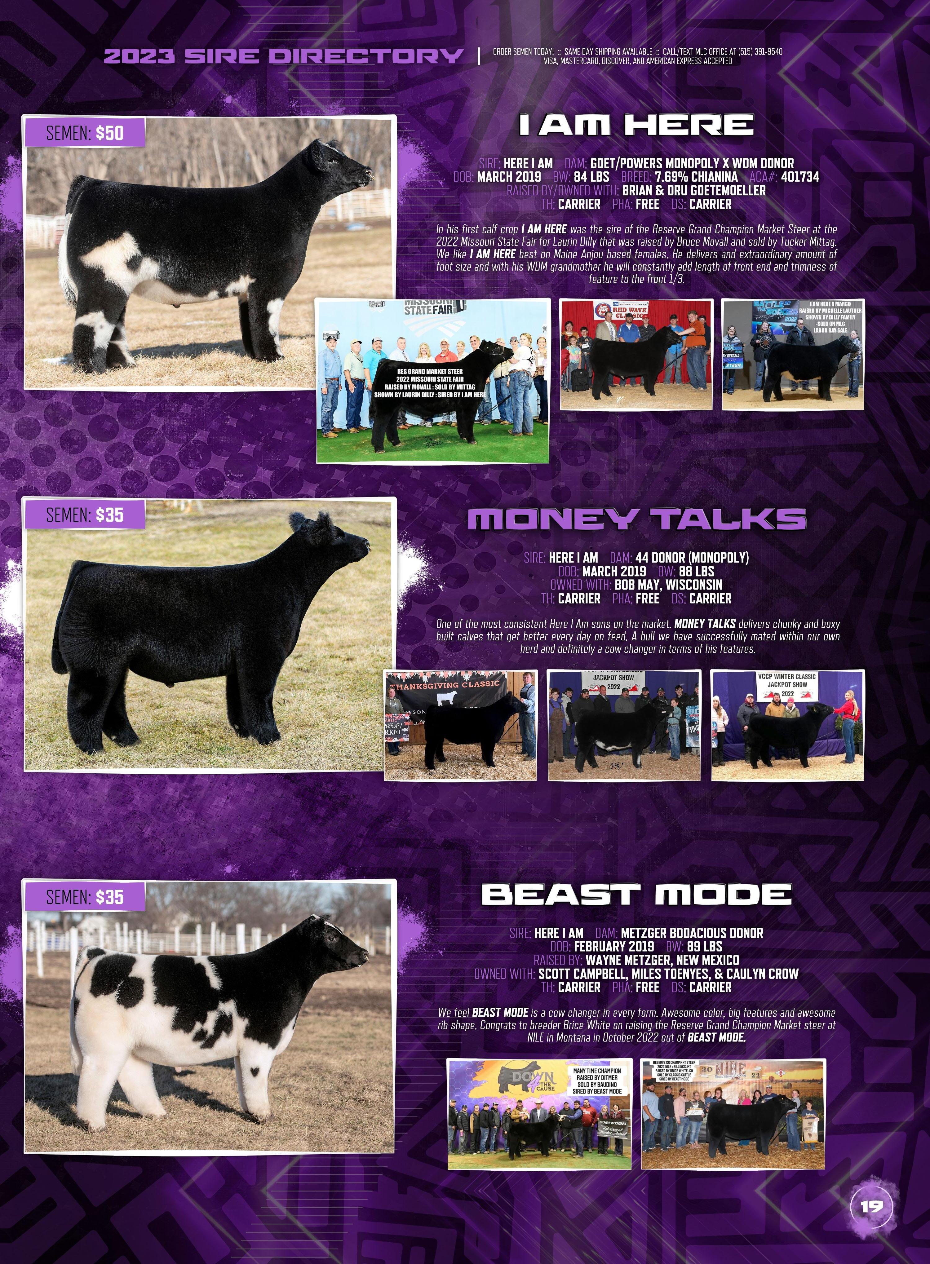 2023 Matt Lautner Cattle Sire Directory by Mittag Design Issuu