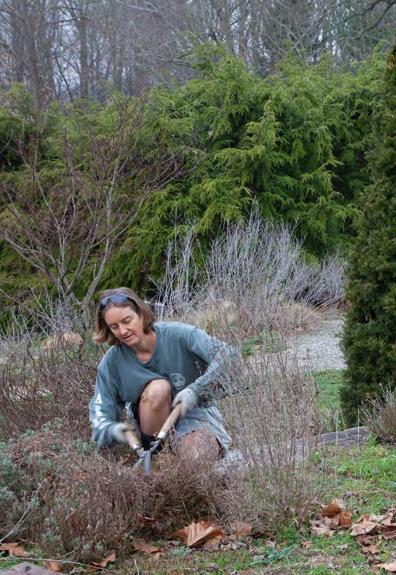 30 Years of Artistry at Chanticleer by Wayne Art Center Issuu