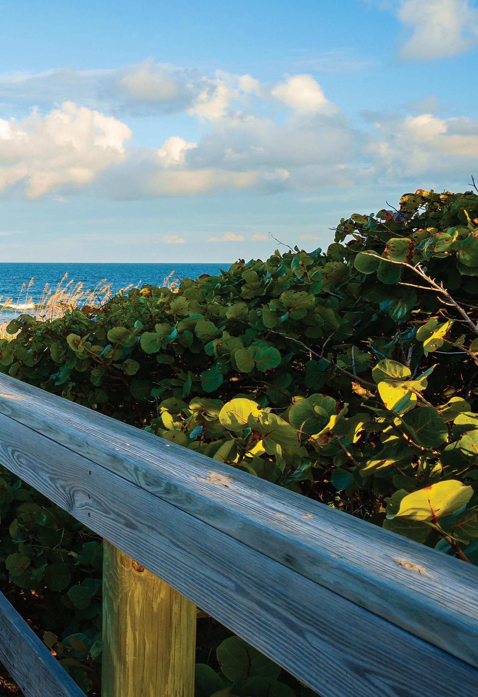 BMRE Listing Book by Blue Marlin Real Estate Issuu