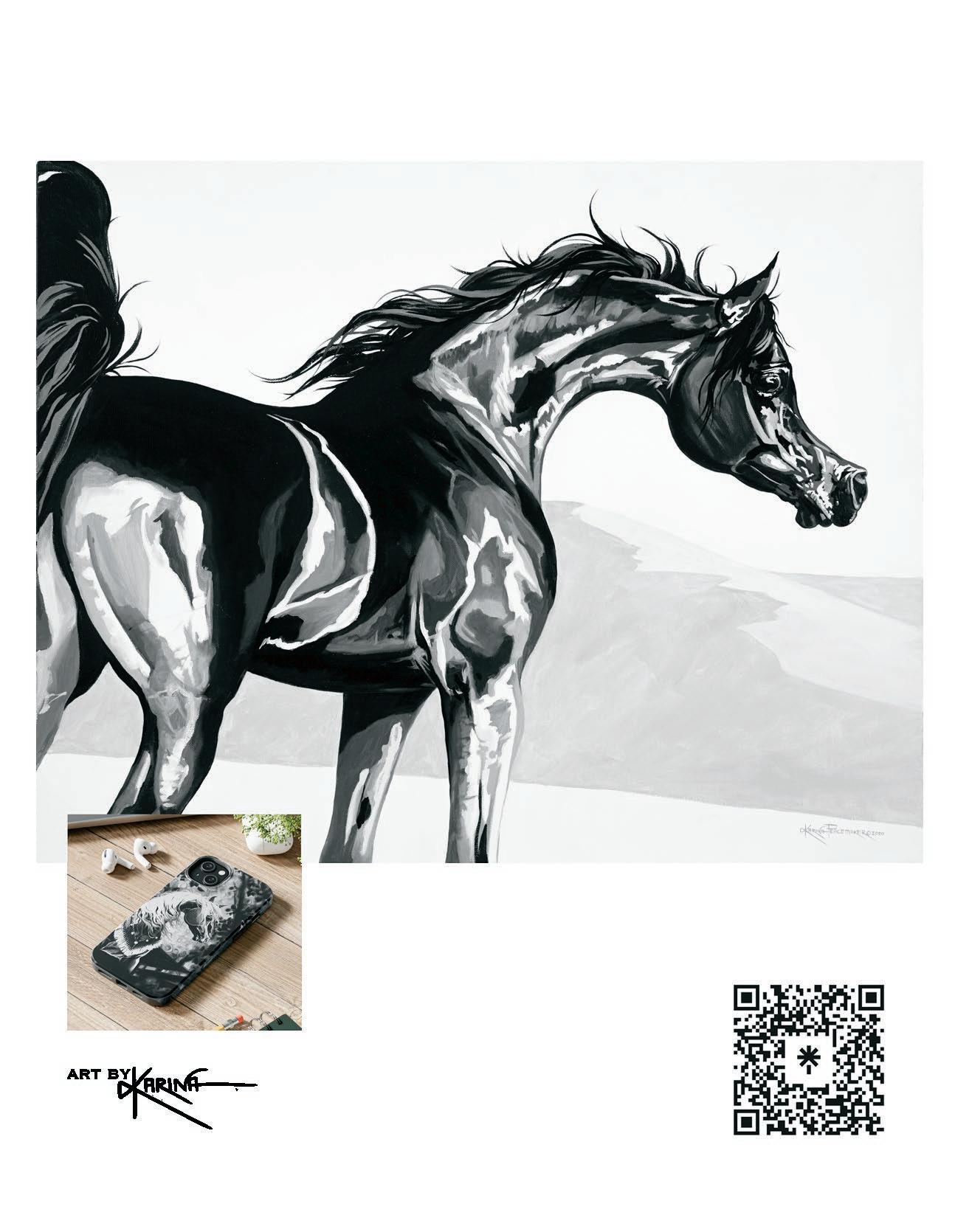 2023-scottsdale-arabian-horse-show-program-by-arabian-horse-times-issuu