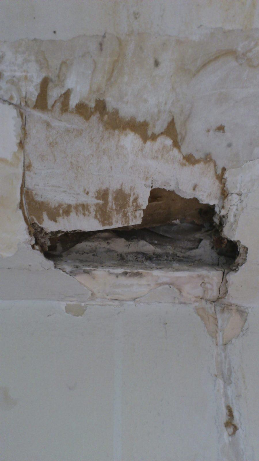 What Are The Types of Termite Damage? by xstructural22 - Issuu, image size:900x1600