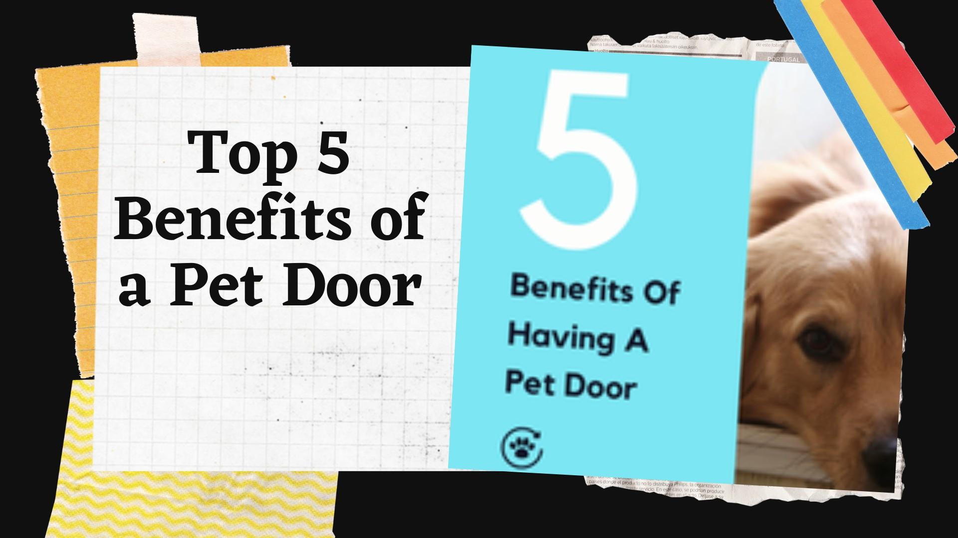 Top 5 Benefits of a Pet Door by Aussie Pet Doors Issuu