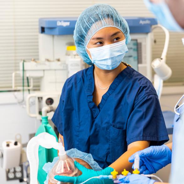 Northeastern University Bouvé College of Health Sciences Undergraduate