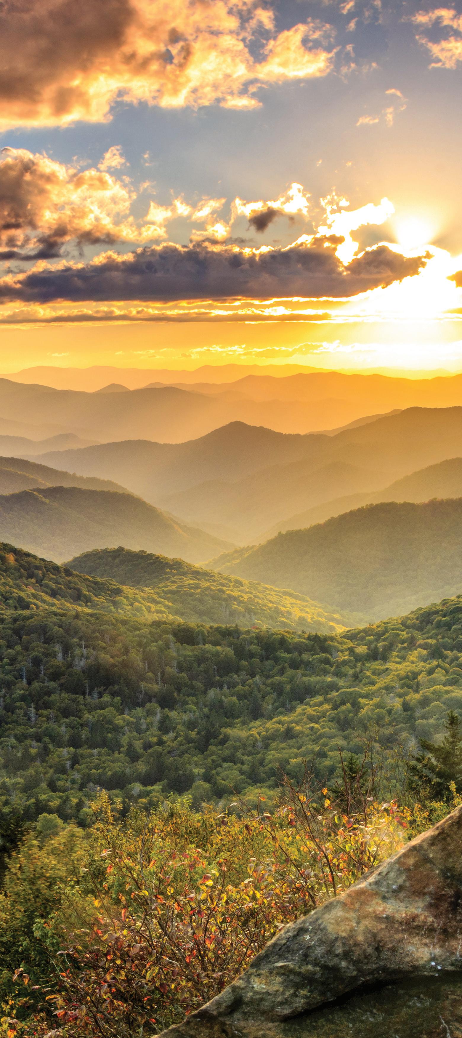 What Time Does Bojangles Breakfast End?: Morning Rush Guide!