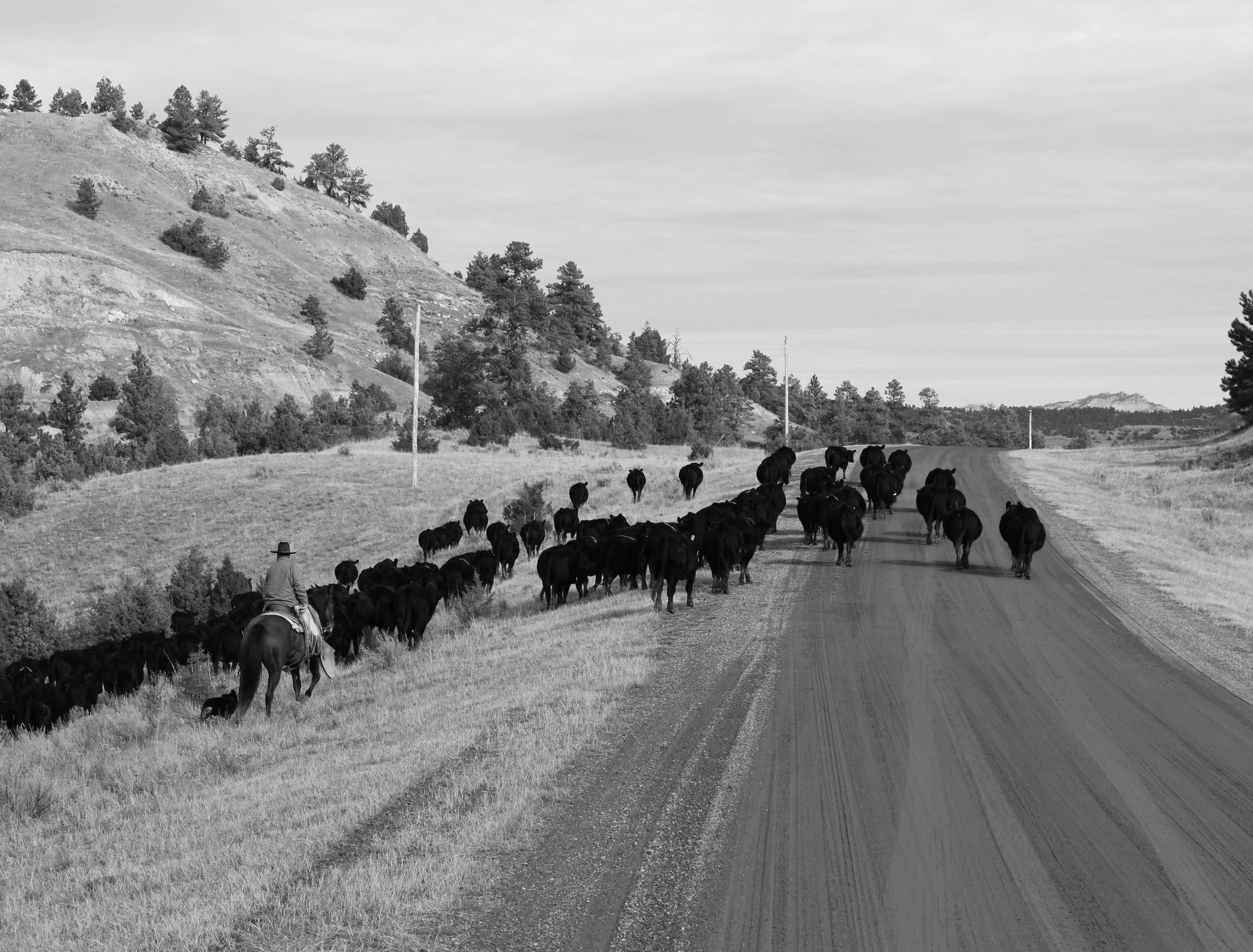 Emigh On Elk Creek by powerslandbrokerage Issuu