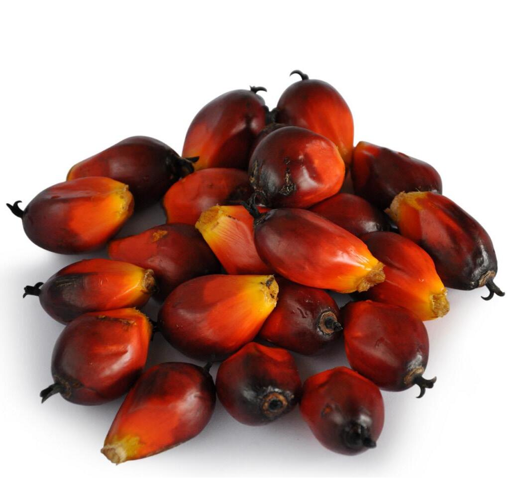 Cover for Solutions that make a difference