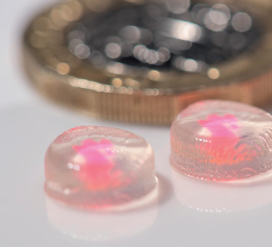 Article from: MTI Issue 63