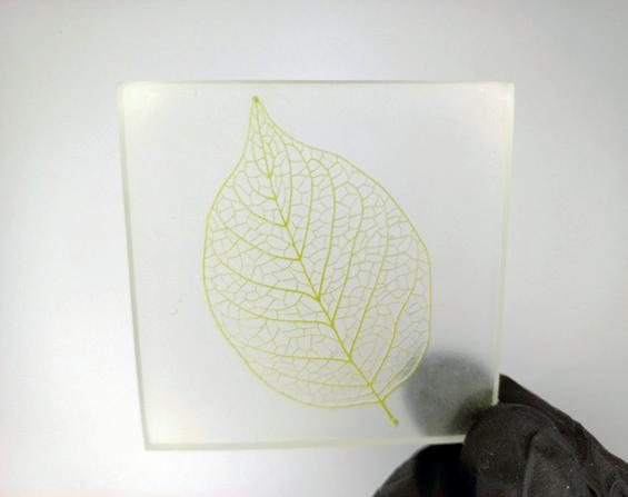 Article from: MTI Issue 63