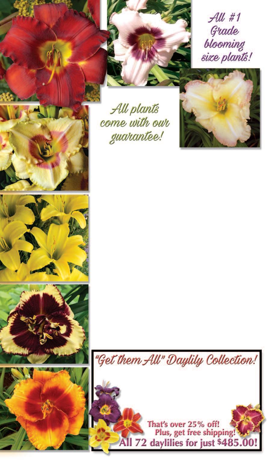 2023 Spring Surplus Sale by Gilbert H. Wild Issuu