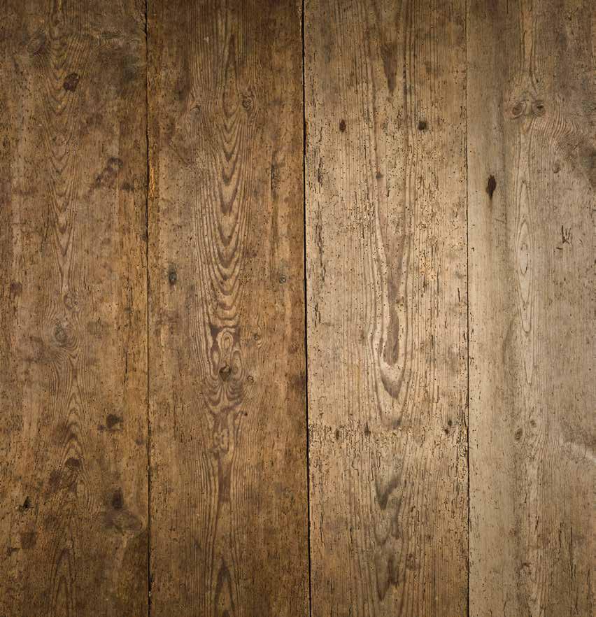 The Canadian Shorthorn Report Spring 2023 by Belinda Wagner Issuu