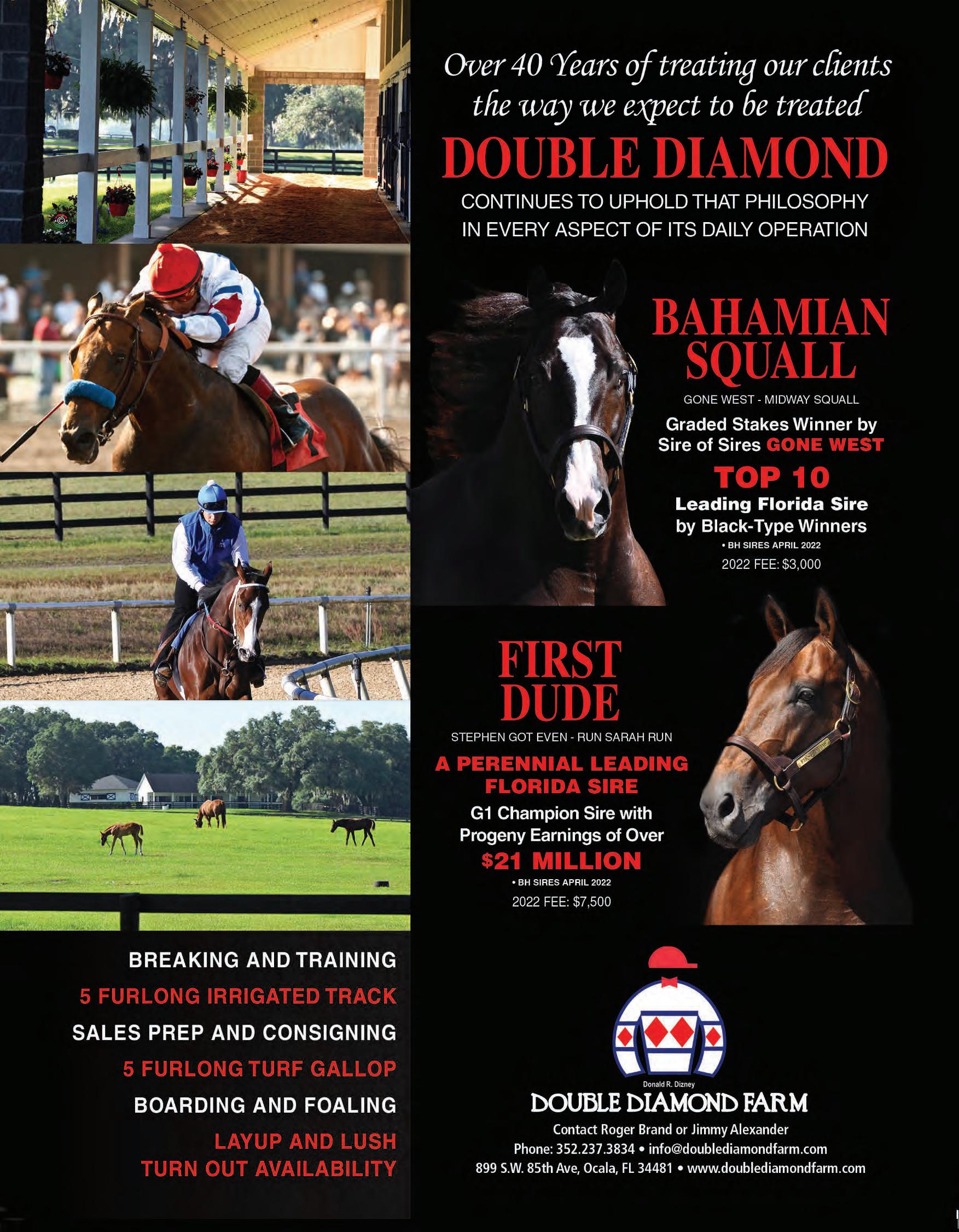 The Florida Horse - June/July 2022 Farm and Service Directory by Florida Equine Publications