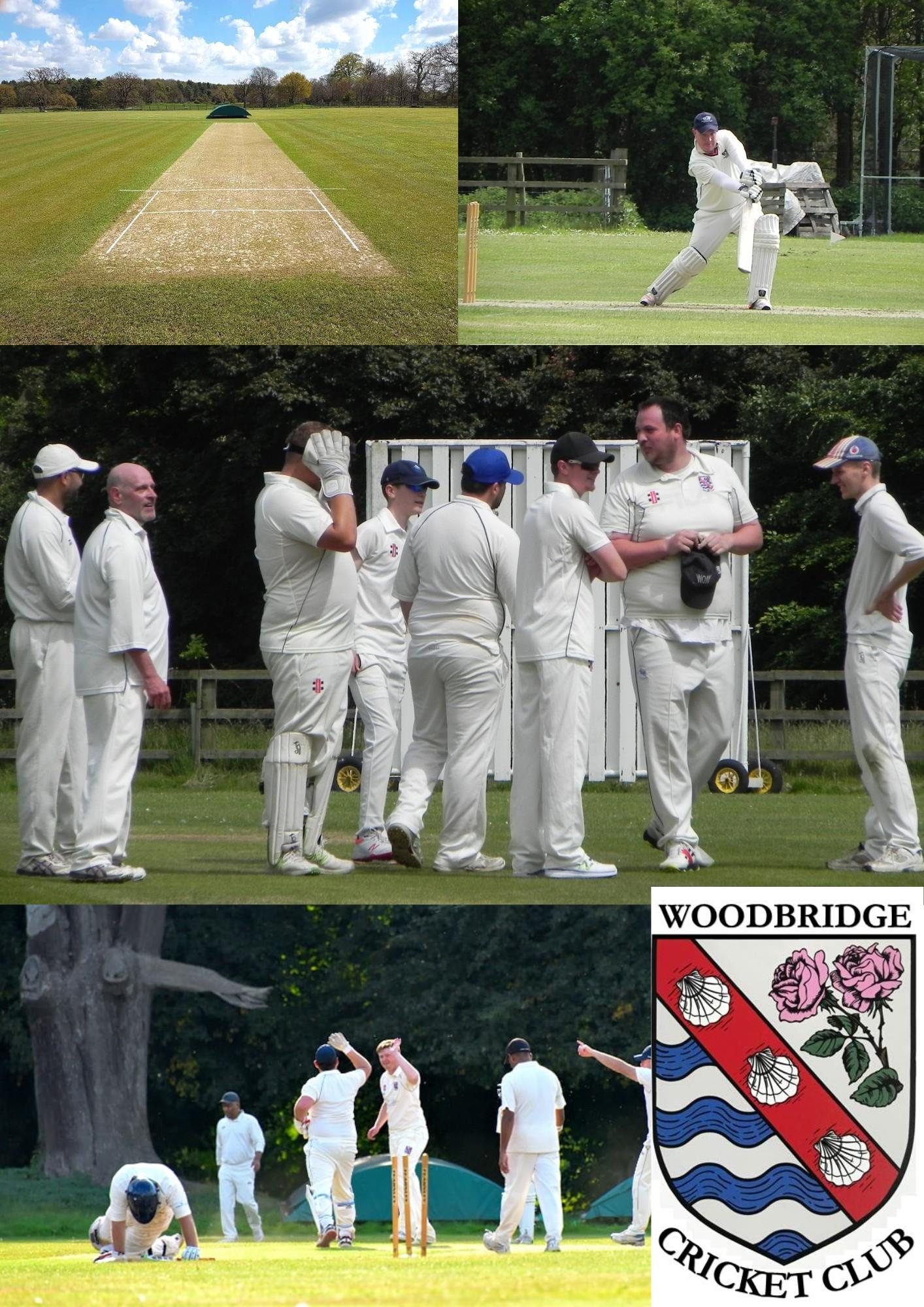 Woodbridge Cricket Club Sponsorship Brochure by Woodbridge CC Issuu