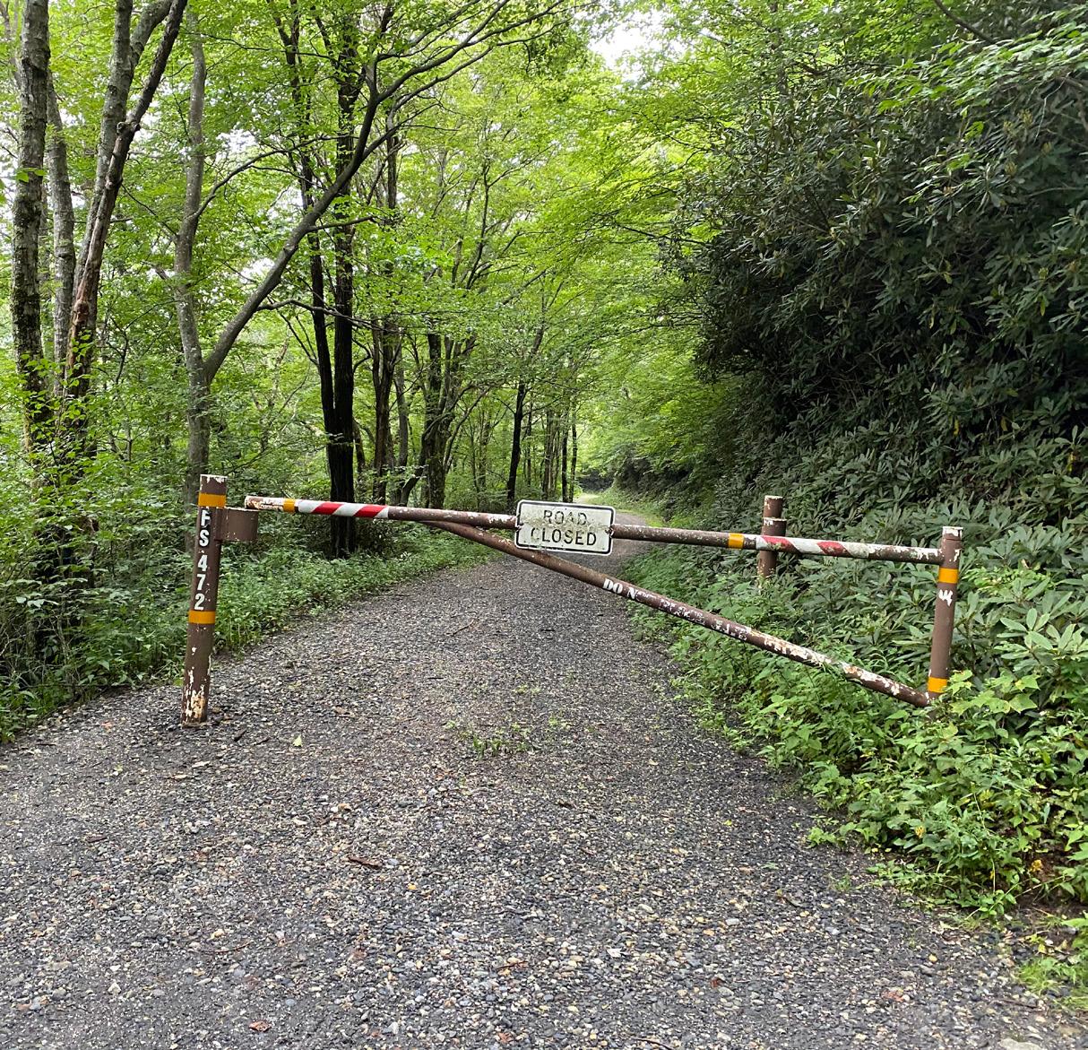 Cover for THE OUT AND BACK GOING THROUGH CHANGES IDENTITY CRISIS