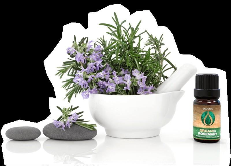 Best Aromatherapy With Ecodrop by Ecodrop Essentialoil - Issuu