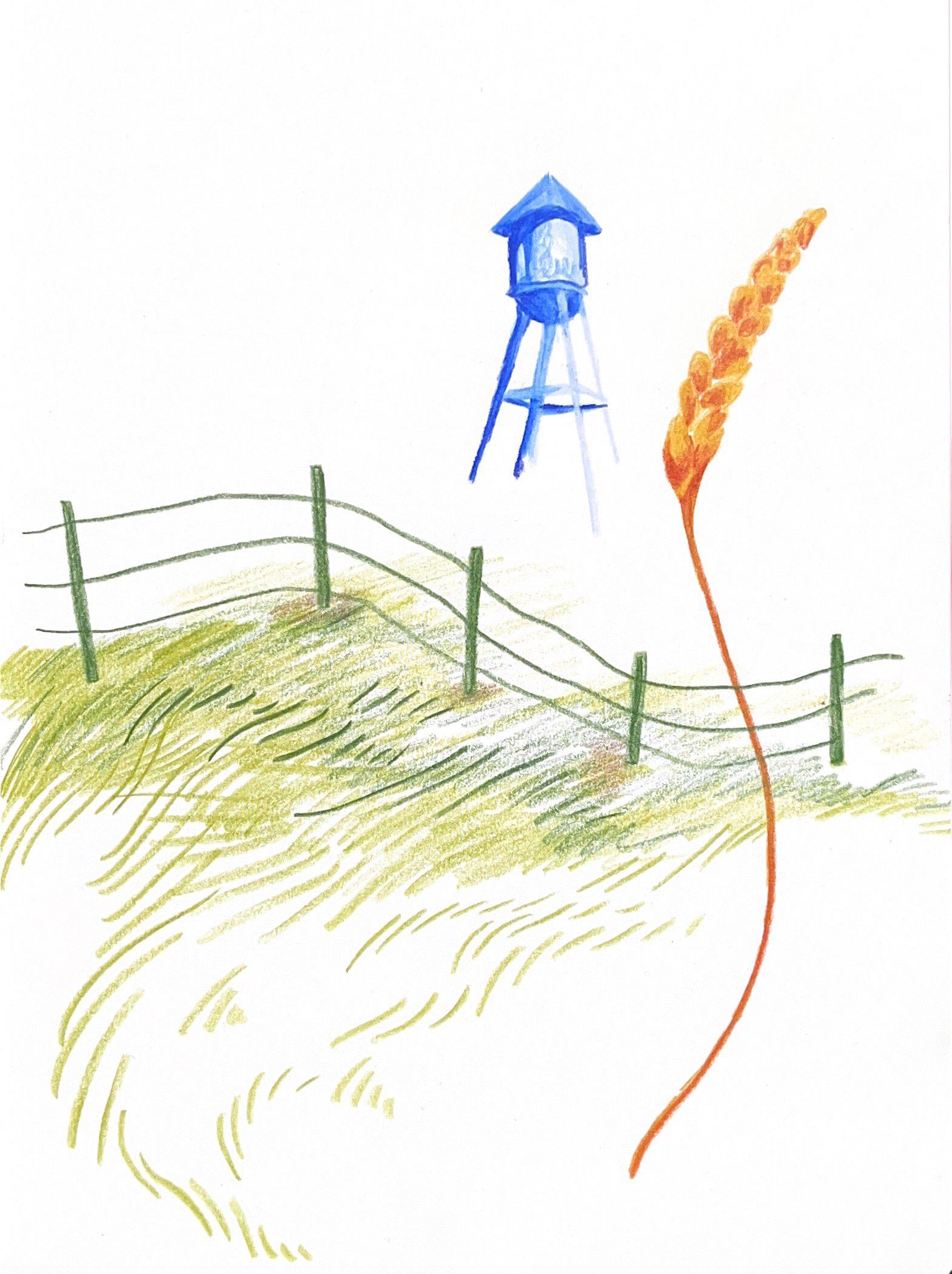 Cover for I Owe My World to Snotty Nosed Kids