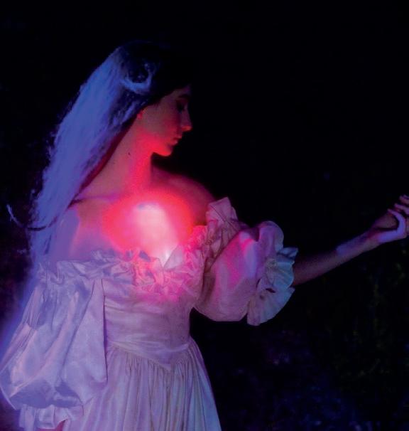 Cover for Musatärpit