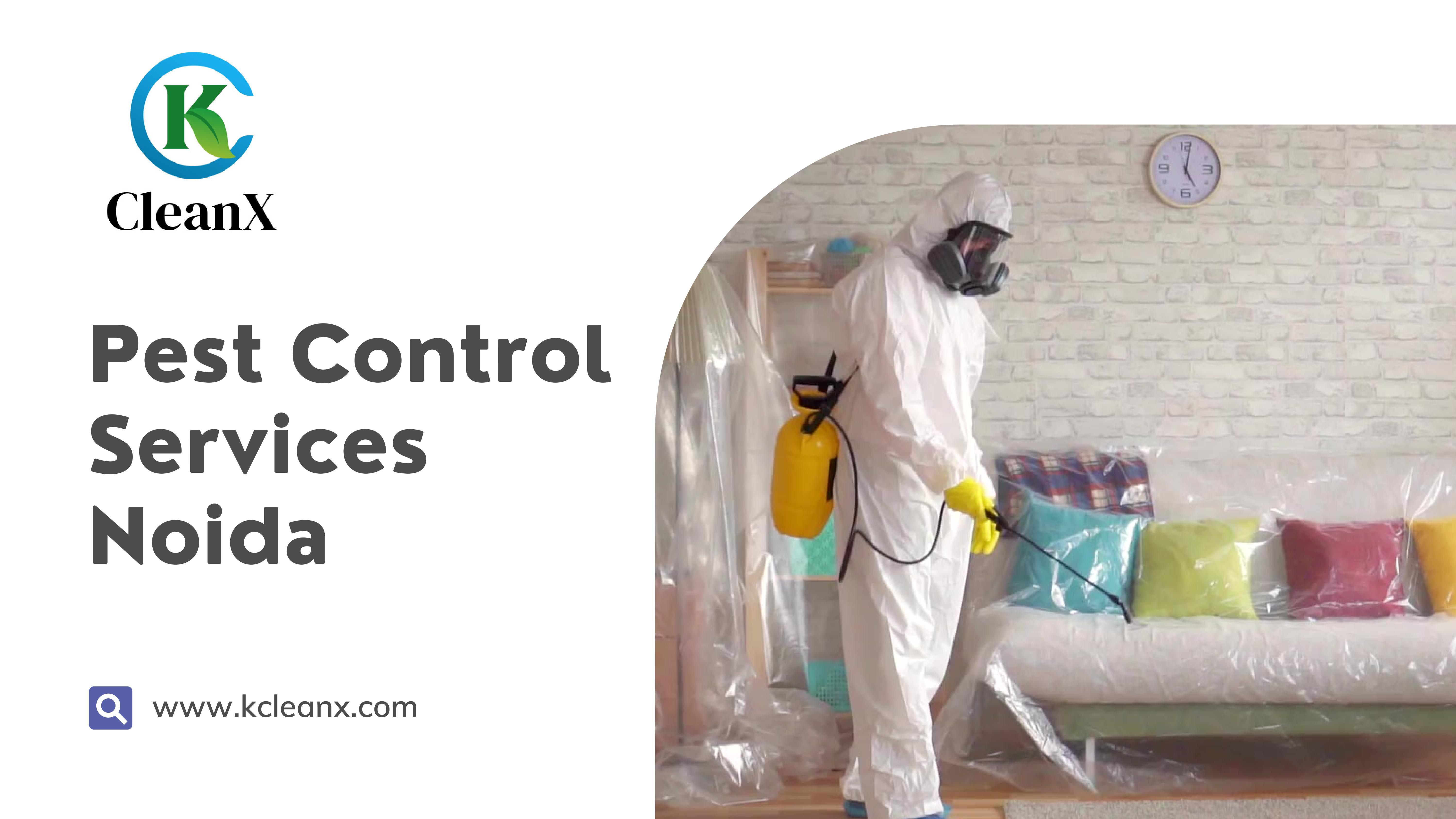 Bathroom Cleaning Chair and Kitchen cleaning services Noida by