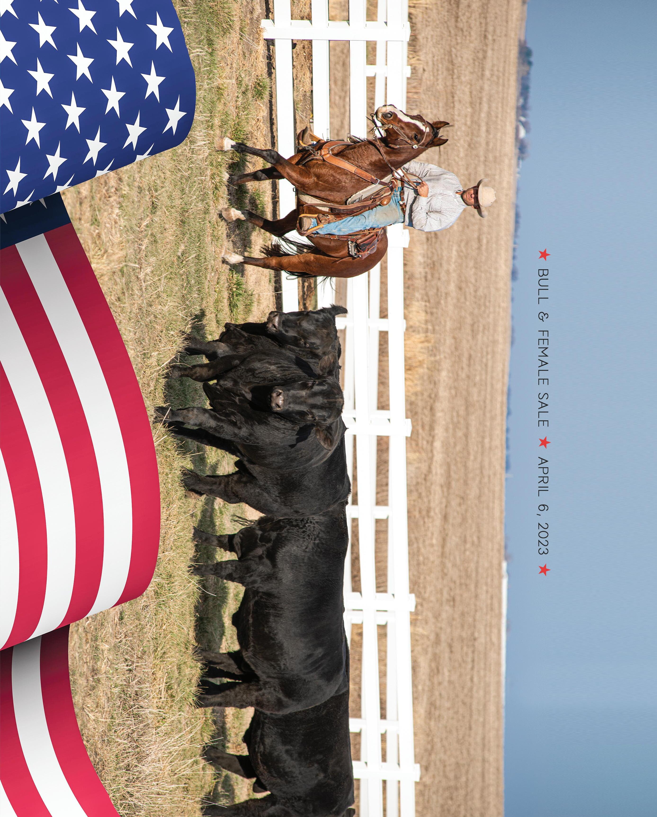 2023 Herbster Angus Farms Bull Sale Catalog by Mandy Peak Raithel Issuu