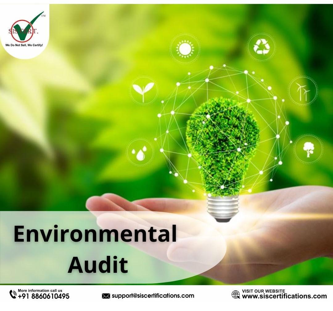 What is the ISO standard for an environmental management system? by