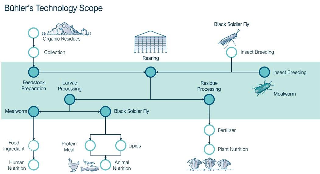 Rearing Definition Biology Cheapest Shops