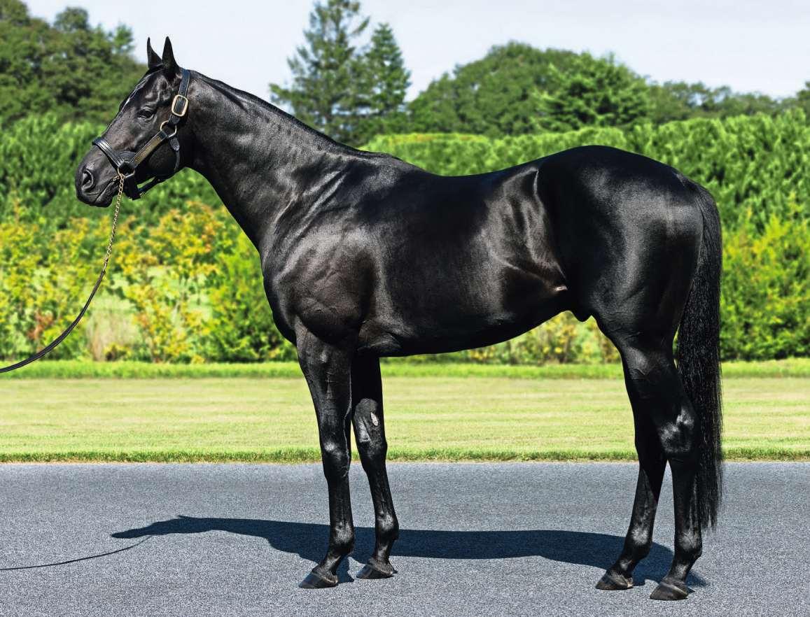 หมูย่างกับน้ำจิ้มซีฟู๊ดแสนอร่อย, image size:1157x882