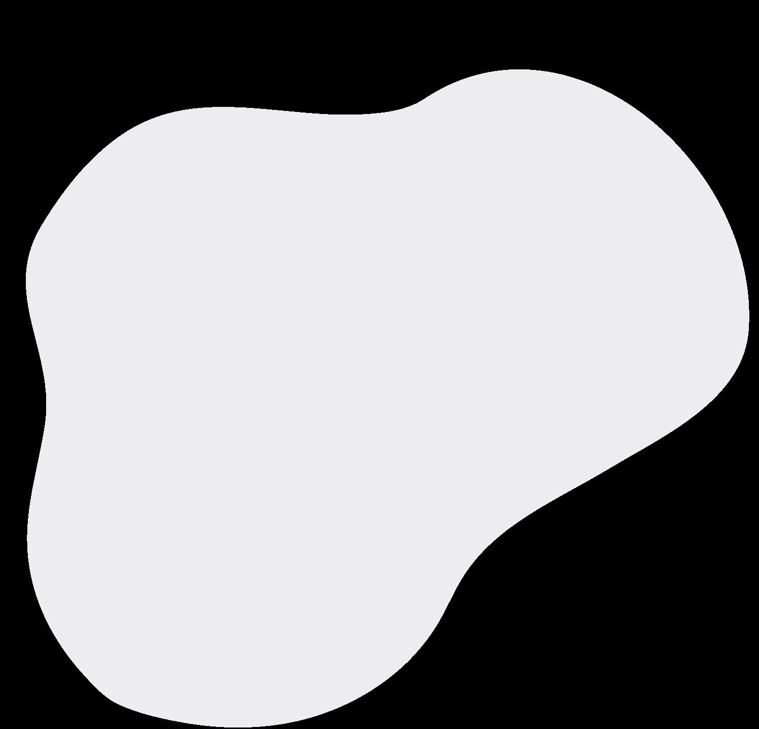 Introducing the Cameron Veterinary Services small animal clinic by