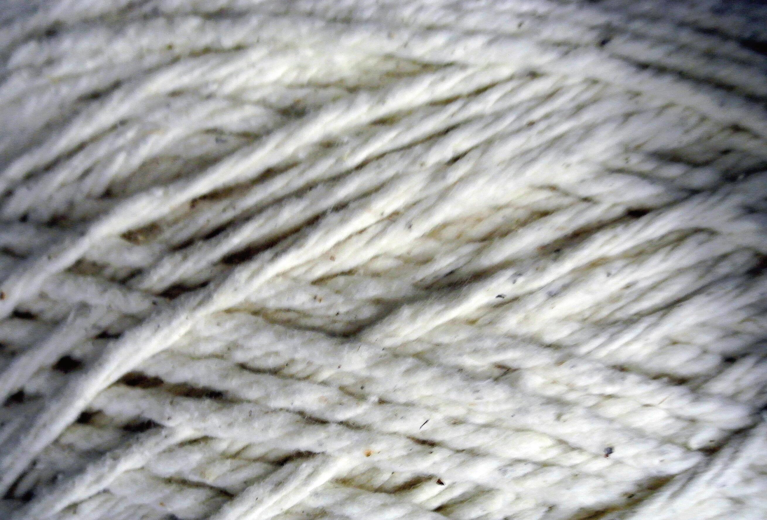 Broom, Brush & Mop Magazine January/February 2023 by Rankin