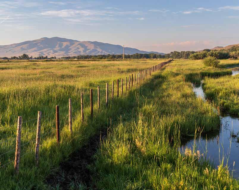 SOLD Big Hole River Retreat Fay Ranches by Fay Ranches Issuu