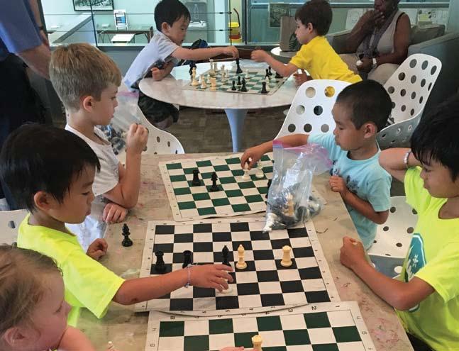 Open Chess – Upstate Oasis Store