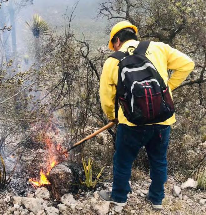 Cover for Incendios forestales son amenaza en Tamaulipas