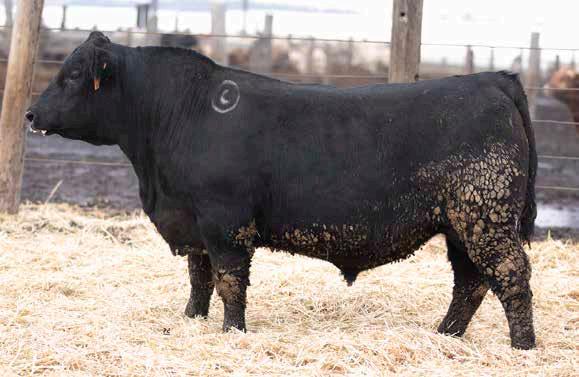 クール便着払　ジェローム・プレヴォー　ラ・クロズリー レ・ベギーヌ(2020) OUTLET】【オンラインストア・直営店限定】Roxy RISE & VIBE RIB