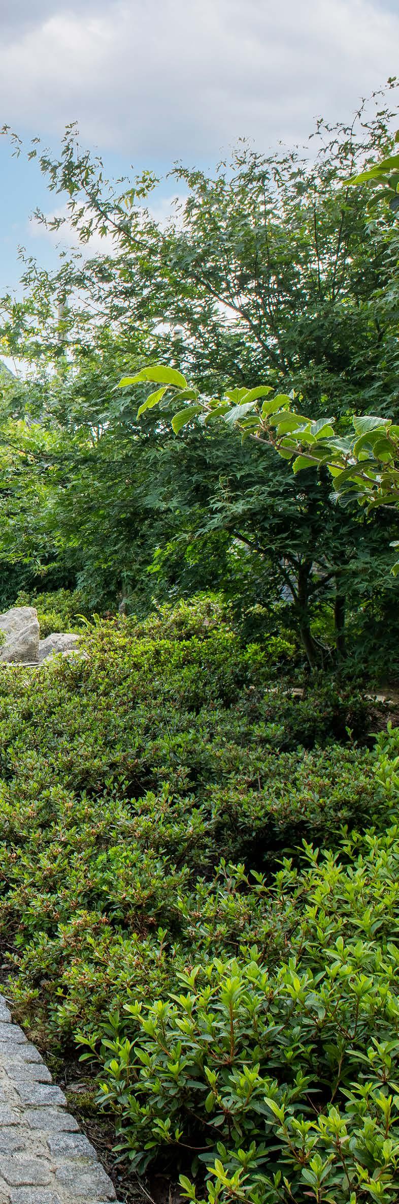Japanse wandeltuin