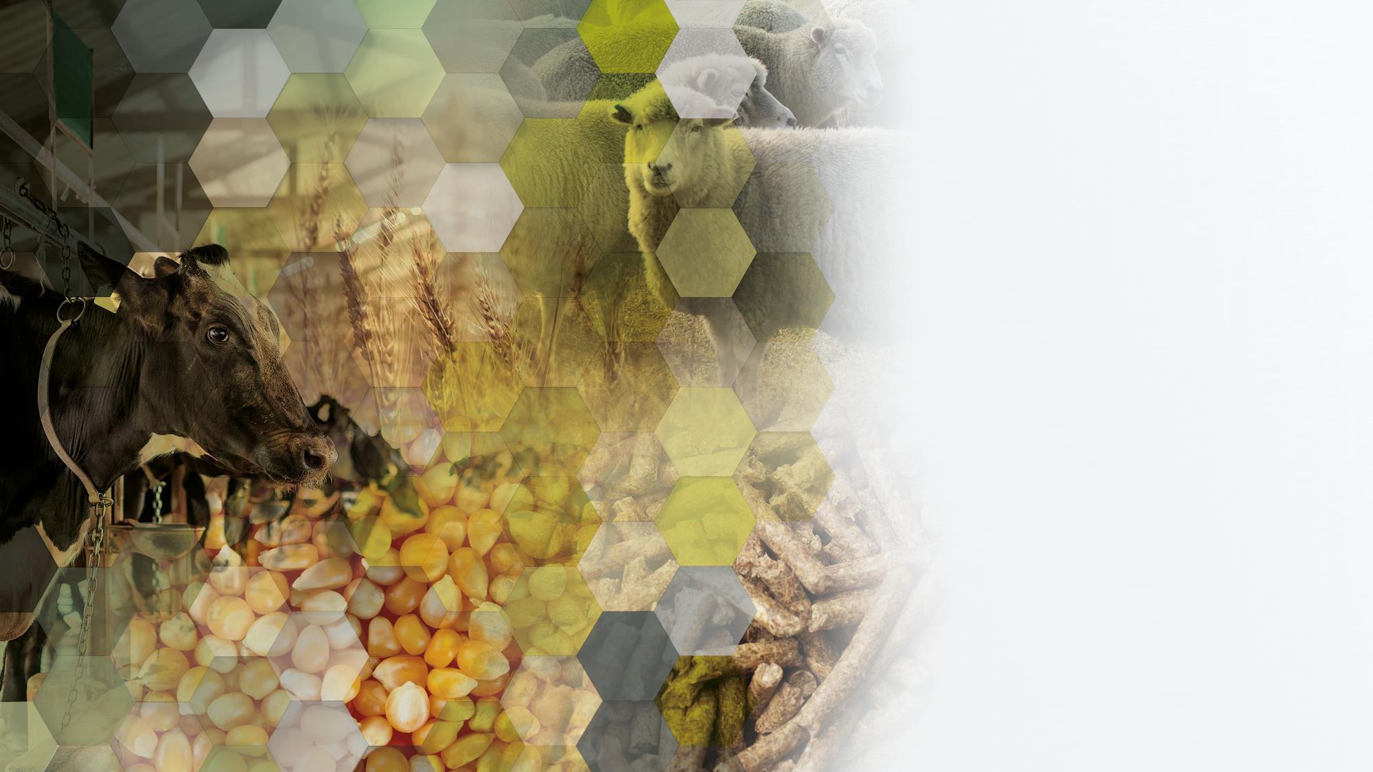 CORPORATE PRESENTATION GROUP URSA by groupursa Issuu