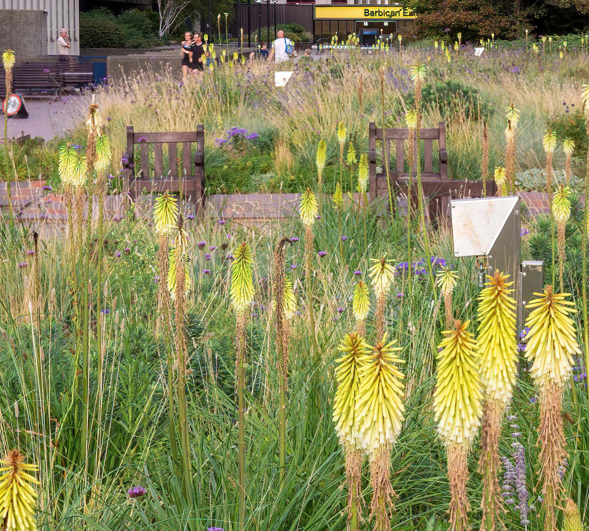 Ecocity World Summit and the London Festival of Architecture come together in June