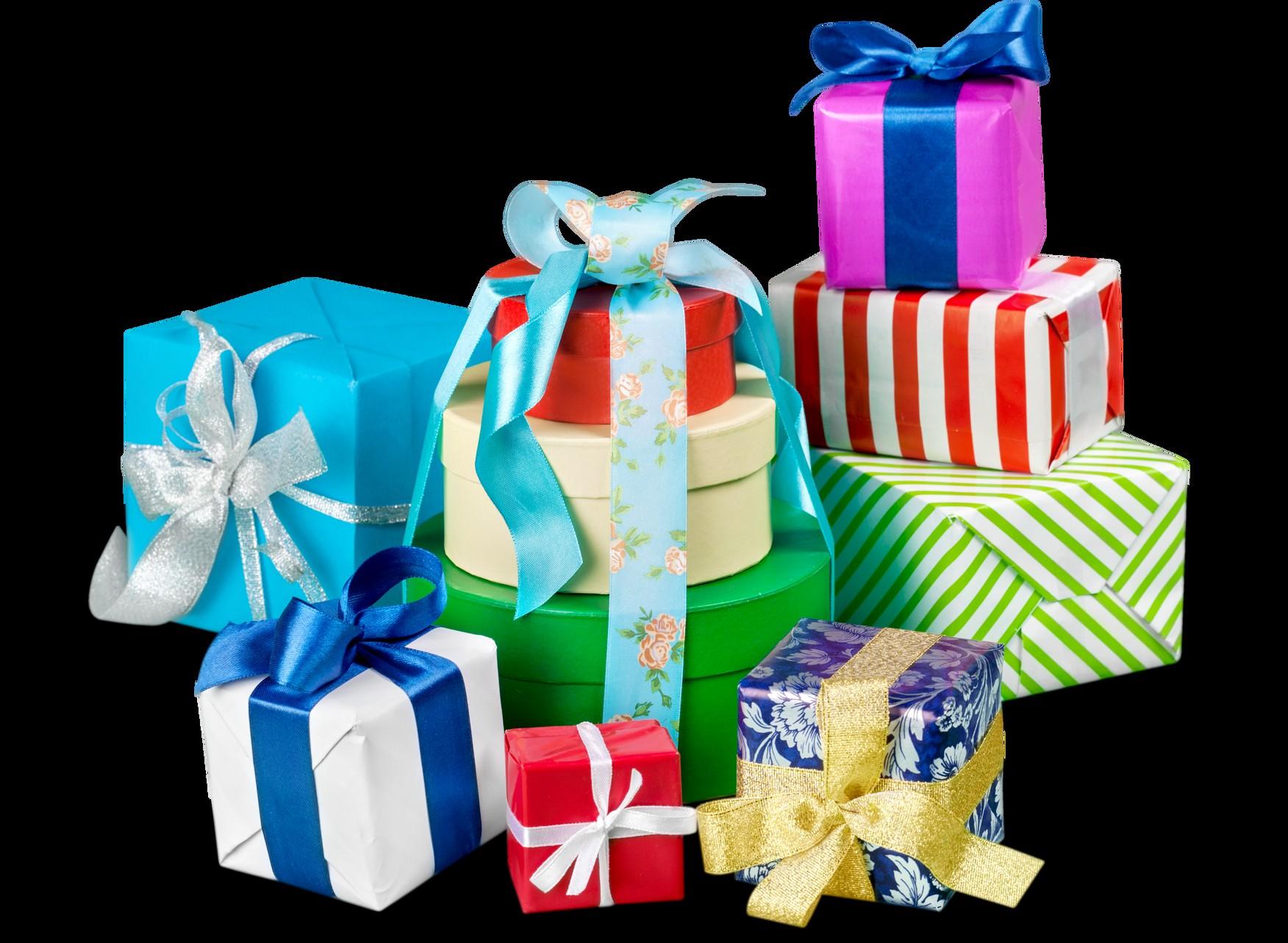 Unique Gift Shop in Tampa, Florida Cardinal and The Dog by Cardinal