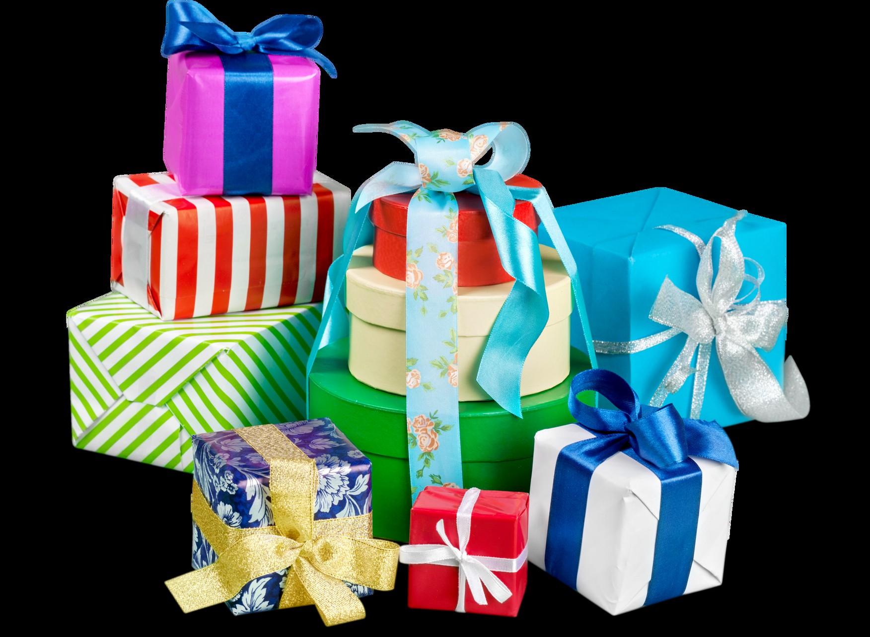 Unique Gift Shop in Tampa, Florida Cardinal and The Dog by Cardinal