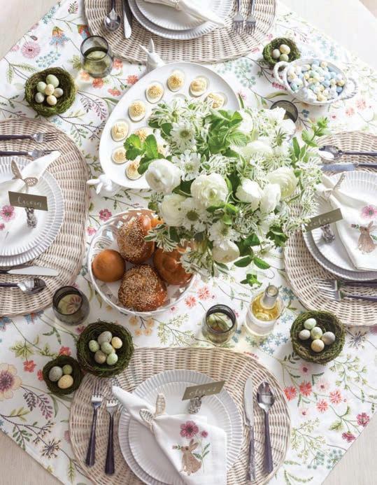 Cover for Set Scthee