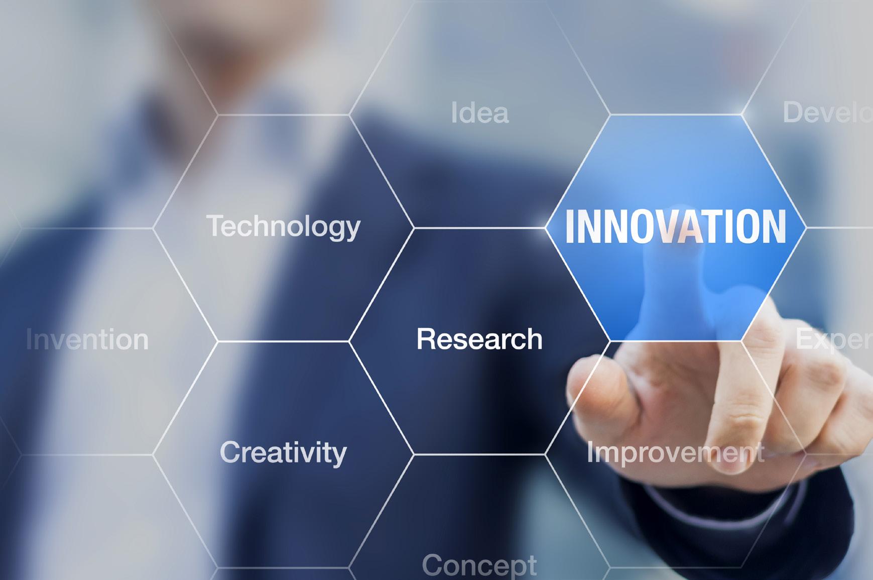 Cover for Fine Foods and continuous innovation: competitive advantage and shared value