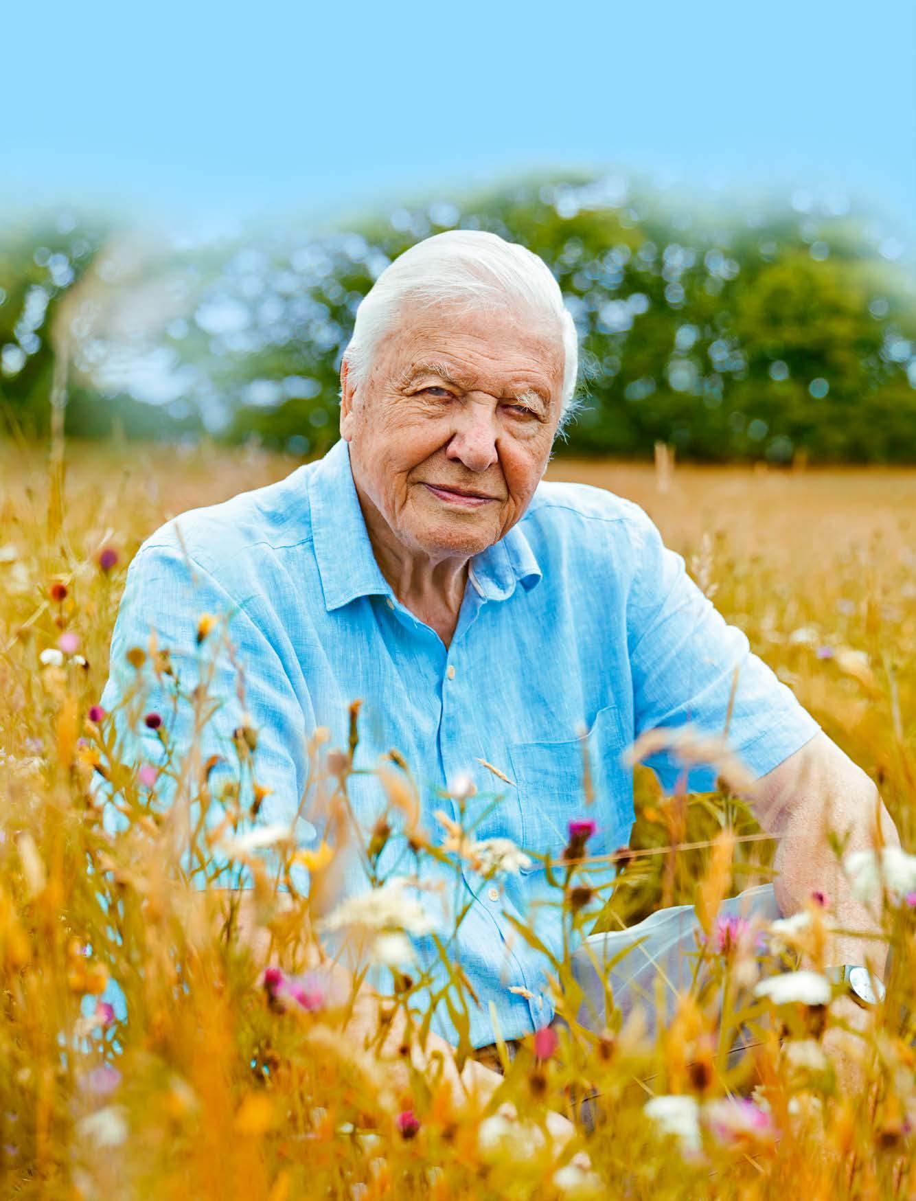 Radio Times - Week 11 2023 [LG23] by Immediate Media Company London Ltd. -  Issuu