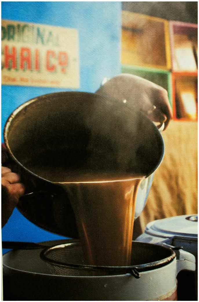 Cover for esivoution