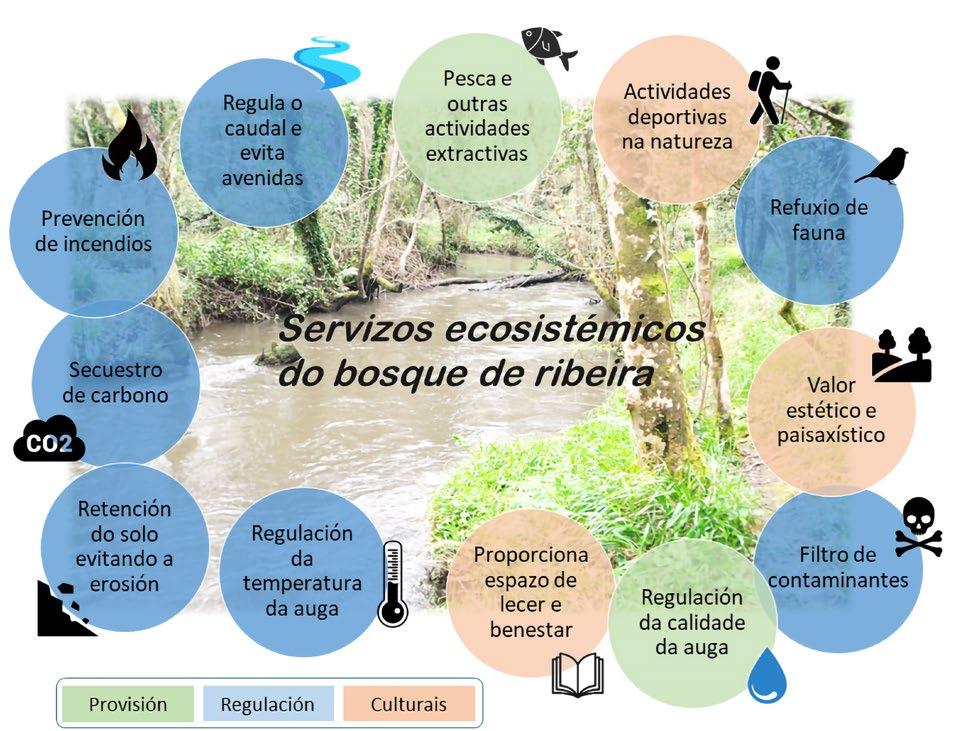 Cover for Diagnóstico e propostas de actuación