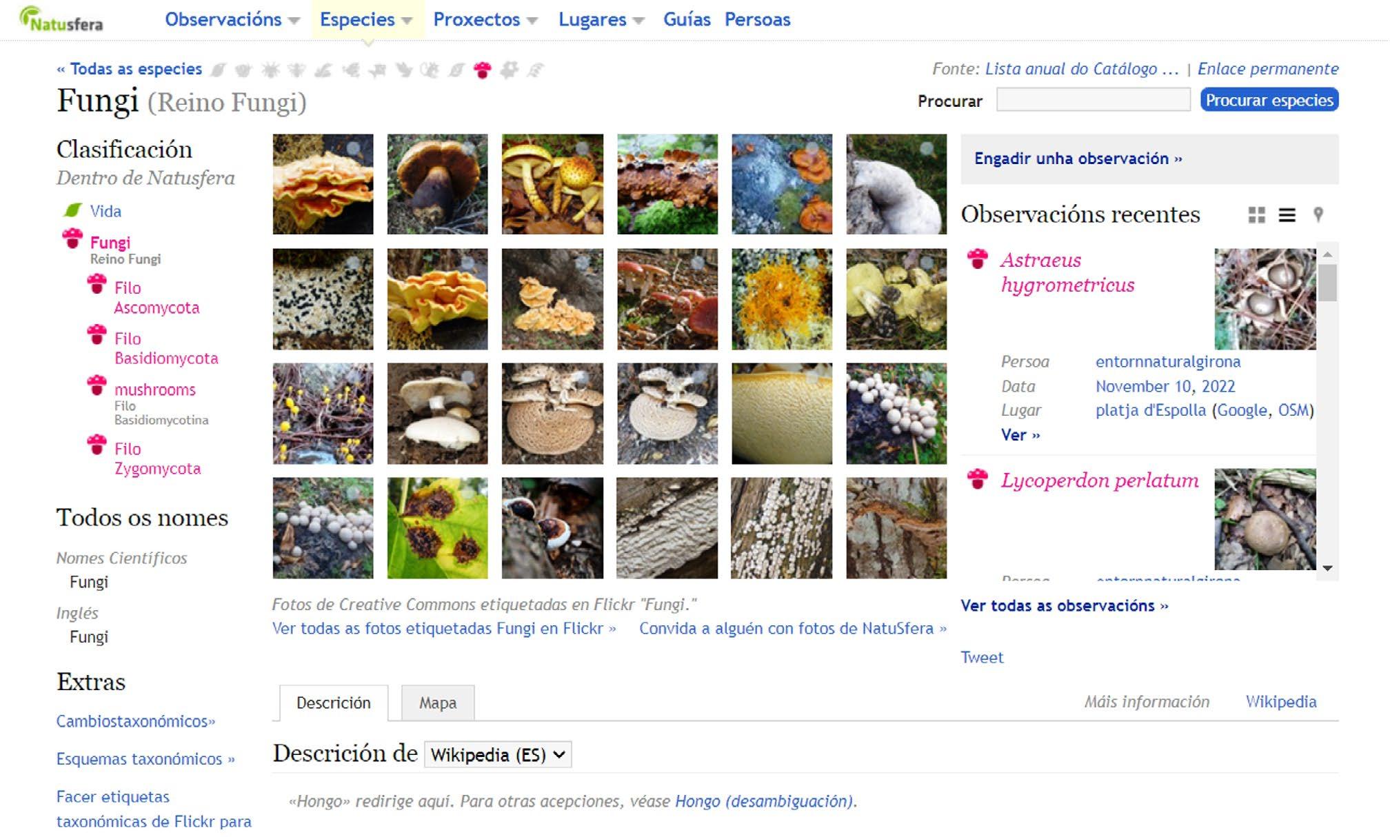 Cover for Plataformas de registo de biodiversidade (II): apresentando Natusfera