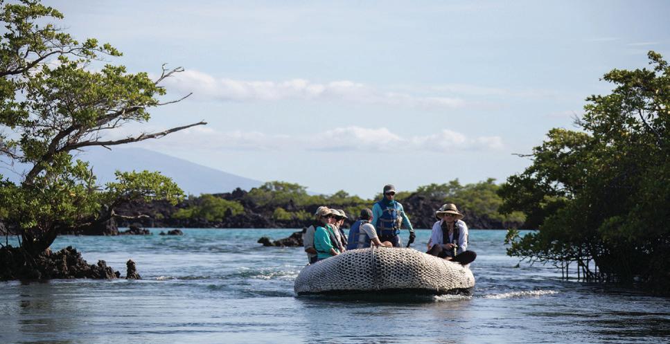 Cover for YOUR IMMERSIVE EXPEDITION